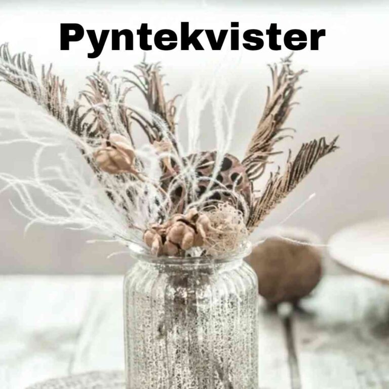 Pyntekvister